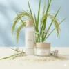 🌾 I'm From Rice Toner & Rice Cream Combo Set